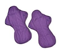 Ecofit Compresas Ecofit Maxi/Noche 2 Unds 350 g