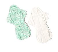 Ecofit Compresas Ecofit Maxi/Noche 2 Unds 350 g