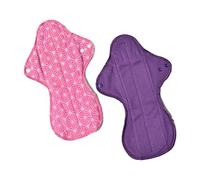 Ecofit Compresas Ecofit Maxi/Noche 2 Unds 350 g