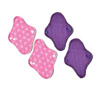 Ecofit Compresas Ecofit Mini 4 Unds 400 g