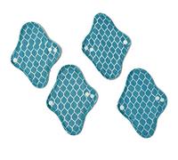 Ecofit Compresas Ecofit Mini 4 Unds 400 g