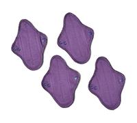 Ecofit Compresas Ecofit Mini 4 Unds 400 g