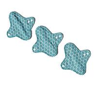 Ecofit Compresas Ecofit Mini Reach 3 Unds 400 g