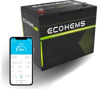 ECOHEMS Batería LiFePO4 de 12 V y 100 Ah con 100 A BMS, 15000 + ciclos, Bluetooth 5.0 de vigilancia, batería de litio ligera y compacta para caravanas, barcos, almacenamiento solar y sistemas fuera de