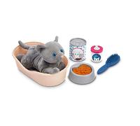 Ecoiffier- Cesta de Gato Juego de imitación. A Partir de 18 Me (Importación USA)