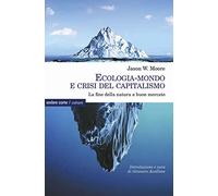 Ecologia-mondo e crisi del capitalismo. La fine della natura a buon mercato (Culture)
