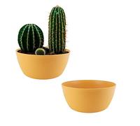 ECOMACETAS FLOWERPOT STORE Maceta Cactus, Maceta para Mini Cactus, Suculentas, Crasas o Bonsai. Maceta Redonda Baja Amarilla. (2, 30 cm)