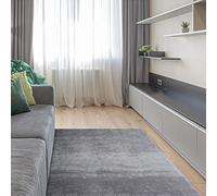 ECOMMERC3 Soft - Alfombra Salon Pelo Mediano Plata de 120 x 170 cm con Textura Suave y Acolchada | Alfombra Antideslizante de Poliéster y 3D Backing | Alfombra Lavable en Lavadora