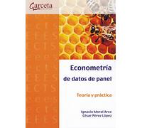 Econometría de datos de panel: Teoría y práctica (SIN COLECCION)