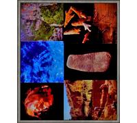 Economía, Sociedad E Ideología de los Cazadores-Recolectores