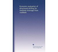 Economic evaluation of directional drilling for methane drainage from coalbeds