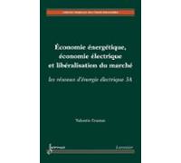 Économie Énergétique Économie Électrique Et Libéralisation Du Marché (