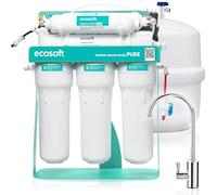 Ecosoft P'URE AquaCalcium - Filtro con Bomba Montado Sobre Estructura Metálica, Ósmosis Inversa Para el Hogar, Elimina el 99.8 % de los Contaminantes del Agua, Mineraliza el Agua Potable con Calcio