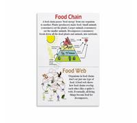 Ecosystem Food Chain Food Web Chart Science Education Poster Print Biology Learning Wall-Art Decor for Classroom Home Office