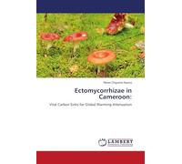 Ectomycorrhizae in Cameroon: Vital Carbon Sinks for Global Warming Attenuation