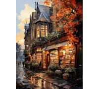 ECUCU 11CT Kits de Punto de Cruz Contado, Librería Sunset,A,30 * 40cm Conjunto de Kit de Punto de Cruz de Bordado Que Incluye Hilos de Color Dibujo de Aguja de paño de algodón