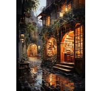 ECUCU Kit de Inicio de Bordado, Librería Sunset,C,40 * 50cm Kit de Bordado a Mano,Con Patrón de Costura y Descripción Patrón Kit de Punto de Cruz, para Principiantes Niños