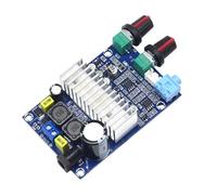 ECVGHD Placa amplificadora de de 12-24V, 100W, TPA3116D2 | Placa amplificadora de TPA3116D2 de 100W para altavoz exterior de sonido de