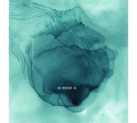 Ed Wood Jr. - Lost.Drive.Water.Exit [Vinilo]