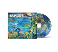 Wynne,ed (Ozric Tentacles) - Tumbling Through The Floativerse