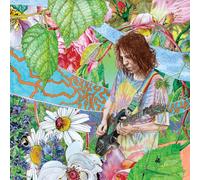 Ed Wynne Shimmer Into Nature (Vinyl) 12" Album