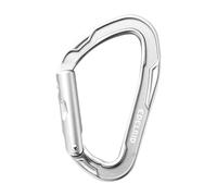 Edelrid Mission - Mosquetón estándar con Base Plateada