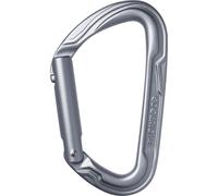 Edelrid Pure Straight III mosquetón con gatillo recto de escalada - Slate