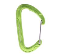 Edelrid Pure Wire III Mosquetón Talla única Verde claro