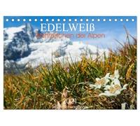 Edelweiß - Wahrzeichen der Alpen (Tischkalender 2026 DIN A5 quer), CALVENDO Monatskalender: Die Blume der Alpen