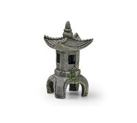 EDEN Templo asiático T