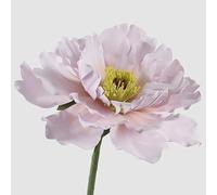 EDG Enzo de Gasperi Decoración Peonía Jumbo H 65 cm D 65 cm Lilac