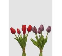 EDG Enzo De Gasperi Enzo De Gasperi Ramo de 5 Tulipanes Olis Ass. H 26 Cm Lilac 1 Pz