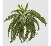 EDG Enzo De Gasperi Helecho Bell Giga D 100 cm 40 Fg Planta Artificial Verde