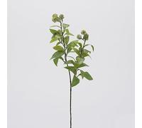 EDG Enzo De Gasperi Viburnum Rama H 63 cm Planta Artificial Verde