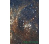 Edge of Dawn Manifestation Journal