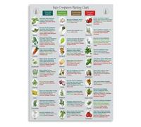 Edible Garden Planning Poster for Backyard Vegetable Patch Use