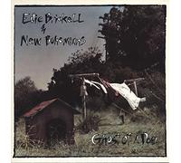 Edie Brickell & New Bohemians - Ghost of a dog (1990)