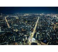 Edificios de Gran Altura de Noche - Rompecabezas de 7000 Piezas: Los Juegos de decoración de Interiores más Hermosos 14 años+