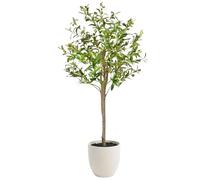 edihome, Planta Artificial Grande, Olivo 120 cm - Decorativas, Árbol, Decoración Hogar, para Interior, Oficina, Hoteles, Eventos, Planta Artificial Realista con Detalles Mediterráneos (Olivo, 120)