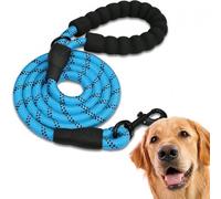Edipets, Correa Perro, Correas para Perros, para Cachorro, Pequeños, Medianos y Grandes, 1,2 m, 1,5 m, 2,2 m, Correa Perro Adiestramiento (220 CM, Azul)