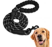 Edipets correa de adiestramiento con mango acolchado negra para perros