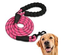Edipets, Correa Perro, Correas para Perros, para Cachorro, Pequeños, Medianos y Grandes, 1,2 m, 1,5 m, 2,2 m, Correa Perro Adiestramiento (220 CM, Rosa)