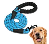 Edipets, Correa Perro, Correas para Perros, para Cachorro, Pequeños, Medianos y Grandes, 1,2 m, 1,5 m, 2,2 m, Correa Perro Adiestramiento (120 CM, Azul)