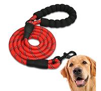 Edipets, Correa Perro, Correas para Perros, para Cachorro, Pequeños, Medianos y Grandes, 1,2 m, 1,5 m, 2,2 m, Correa Perro Adiestramiento (120 CM, Rojo)