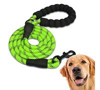 Edipets, Correa Perro, Correas para Perros, para Cachorro, Pequeños, Medianos y Grandes, 1,2 m, 1,5 m, 2,2 m, Correa Perro Adiestramiento (220 CM, Verde)