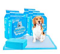 Edipets, Empapadores Perros, 60x60 cm, (Blanco - 100 Unidades), Alfombrillas Desechables para Mascotas, Toallitas de Entrenamiento y Adiestramiento, Absorbentes, Resistente a Prueba de Fugas
