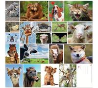 EDITION COLIBRI - Juego de 20 postales divertidas con animales divertidos y geniales (20 postales) para coleccionistas y postcrossing