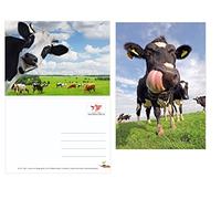 Edition Colibri Postales divertidas de vacas (2 unidades) (10529)