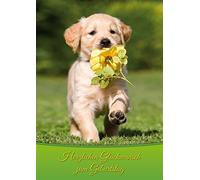 Edition Colibri Tarjeta de cumpleaños XL con diseño de perro con flor: divertida tarjeta de cumpleaños en formato DIN A 4, incluye sobre a juego (10739)
