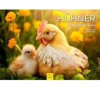 Edition Seidel Calendario premium 2026 de gallinas, formato DIN A4, calendario de pared, calendario de animales, animales adorables, pájaros, pollo, gallo, pollo, pollo, melanie viola